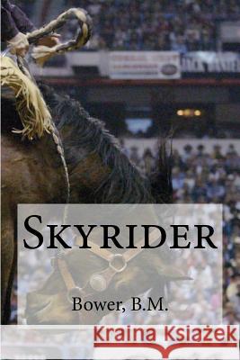 Skyrider Bower B Hollybooks 9781539575238 Createspace Independent Publishing Platform