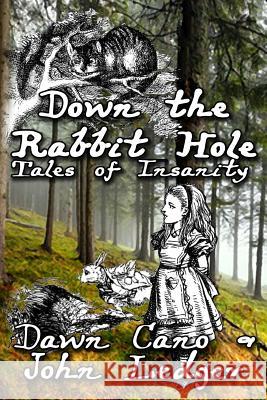 Down the Rabbit Hole: Tales of Insanity Dawn Cano John Ledger 9781539593522 Createspace Independent Publishing Platform