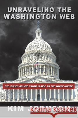 Unraveling The Washington Web: Everyone hates injustice. It's illusive but felt, it's silent yet speaks, and when confronted it strikes like a viper: Ney, Anne 9781539593782 Createspace Independent Publishing Platform