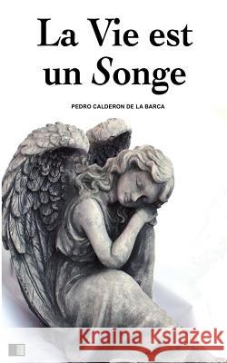 La vie est un songe Hinard, Jean-Joseph-Stanislas-Albert Dam 9781539687511