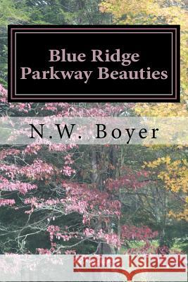 Blue Ridge Parkway Beauties: 2nd Edition N. W. Boyer N. W. Boyer 9781539709176 Createspace Independent Publishing Platform