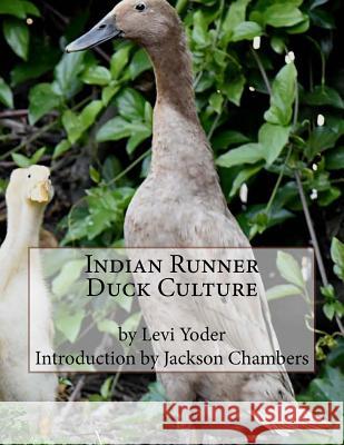 Indian Runner Duck Culture Levi Yoder Jackson Chambers 9781539714323 Createspace Independent Publishing Platform