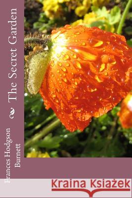 The Secret Garden Frances Hodgso 9781539794066 Createspace Independent Publishing Platform