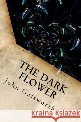 The Dark Flower John Galsworthy 9781539823056 Createspace Independent Publishing Platform