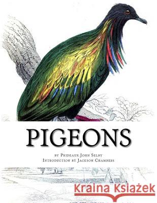Pigeons: Pigeon Classics Book 9 Prideaux John Selby Jackson Chambers 9781539828617 Createspace Independent Publishing Platform