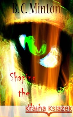 Shaping the Night B. C. Minton 9781539828860