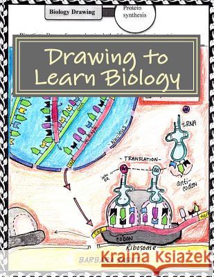 Drawing to Learn Biology: Student Assignments in Illustrating Biology Concepts Barbara Sabet 9781539834687 Createspace Independent Publishing Platform