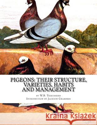 Pigeons: Their Structure, Varieties, Habits and Management: Pigeon Classics Book 12 W. B. Tegetmeier Jackson Chambers 9781539840770 Createspace Independent Publishing Platform