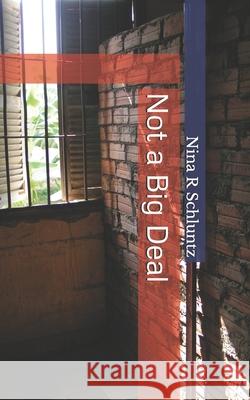 Not a Big Deal Nina R Schluntz 9781539955115 Createspace Independent Publishing Platform