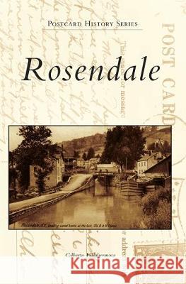 Rosendale Gilberto Villahermosa 9781540239167 Arcadia Publishing Library Editions