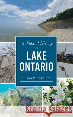 Natural History of Lake Ontario Susan P. Gateley 9781540248503 History PR