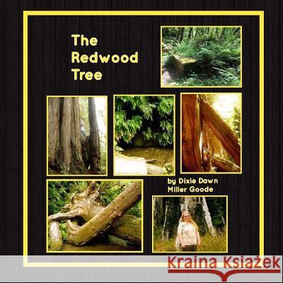 The Redwood Tree Dixie Dawn Miller Goode Dixie Dawn Miller Goode 9781540304346 Createspace Independent Publishing Platform