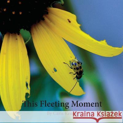 This Fleeting Moment Caris Kenny 9781540308511