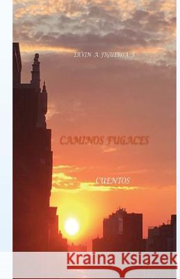 Senderos Fugaces: Cuentos Ervin a. Figueroa B Mrs Beatriz Avila 9781540326355 Createspace Independent Publishing Platform