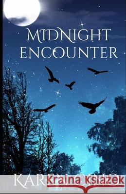 Midnight Encounter Karen Cino 9781540359667 Createspace Independent Publishing Platform