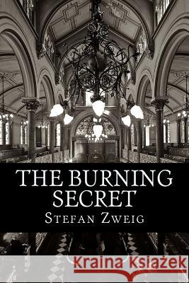 The Burning Secret Stefan Zweig 9781540506986 Createspace Independent Publishing Platform