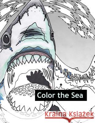 Color the Sea Tara Tominaga 9781540511294
