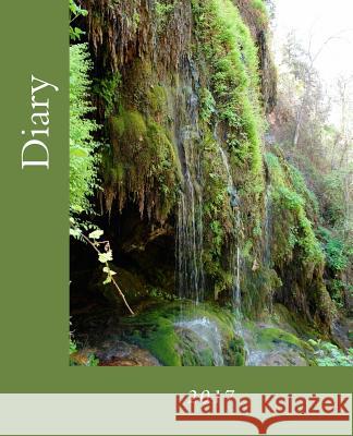 Diary: 2017 Julia Kossowska 9781540515254 Createspace Independent Publishing Platform