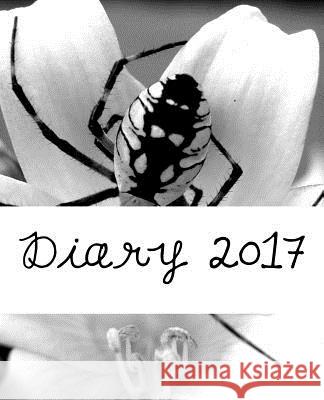 Diary 2017 Julia Kossowska 9781540522733 Createspace Independent Publishing Platform