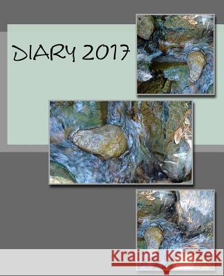 Diary 2017 Julia Kossowska 9781540583901 Createspace Independent Publishing Platform