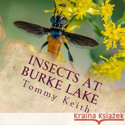 Insects At Burke Lake: A Picture Book For Children Of All Ages Keith, Tommy 9781540595591 Createspace Independent Publishing Platform