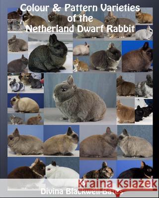 Colour & Pattern Varieties of the Netherland Dwarf Rabbit Divina Blackwell-Bates 9781540630100 Createspace Independent Publishing Platform