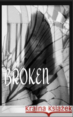 Broken R. S. Cole 9781540670083 Createspace Independent Publishing Platform
