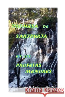 Promesa de Sabiduria en los Profetas Menores Jpse S. Valdes Jorge a. Leignadier 9781540755100 Createspace Independent Publishing Platform