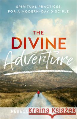 Divine Adventure Friedlander, Rebecca 9781540901682 Baker Books