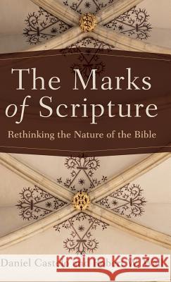 Marks of Scripture Daniel Castelo Robert W. Wall 9781540961501