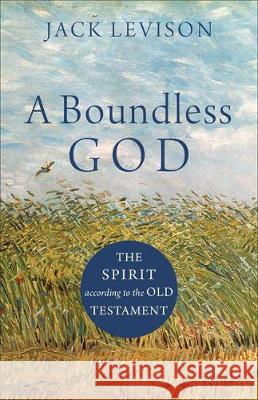 Boundless God Levison, Jack 9781540962669