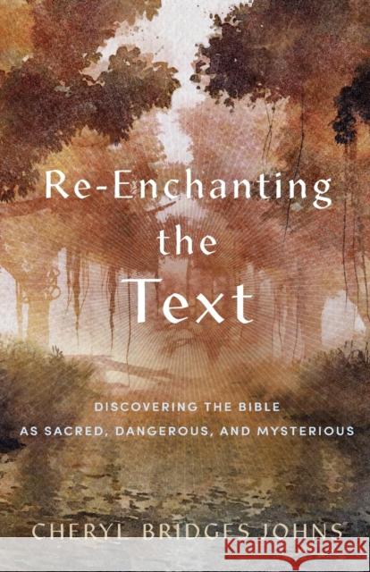 Re–enchanting the Text – Discovering the Bible as Sacred, Dangerous, and Mysterious Cheryl Bridges Johns 9781540965134 Baker Publishing Group