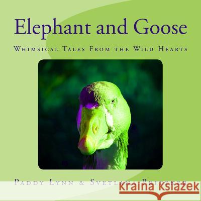 Elephant and Goose: Whimsical Tales From the Wild Hearts Pritzker, Svetlana 9781541002920