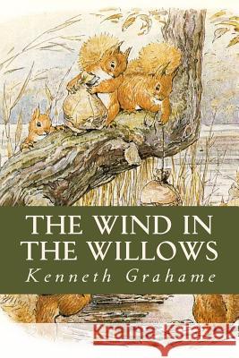 The Wind in the Willows Kenneth Grahame Ravell 9781541017689 Createspace Independent Publishing Platform