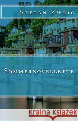 Sommernovellette Stefan Zweig 9781541028906 Createspace Independent Publishing Platform