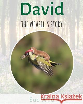 David: The weasel's story Wild, Sue 9781541040014
