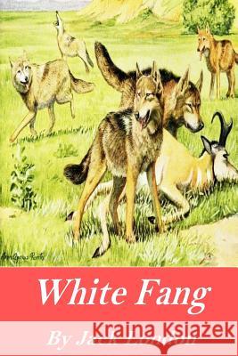 White Fang Jack London 9781541056466