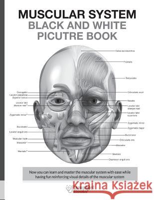 Muscular System Black and White Picture Book: Guide For The Muscular System Books, Pamphlet 9781541069657 Createspace Independent Publishing Platform