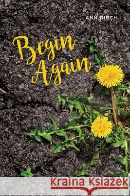 Begin Again Ann Birch 9781541113459