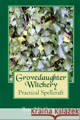 Grovedaughter Witchery: Practical Spellcraft Bree Nicgarran 9781541145788 Createspace Independent Publishing Platform