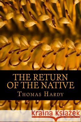 The Return of the Native Thomas Hardy 9781541146860 Createspace Independent Publishing Platform