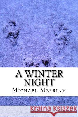 A Winter Night Michael Merriam 9781541176676 Createspace Independent Publishing Platform