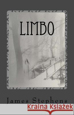 Limbo: book 2 of the Afterlife Chronicles Stephens, James 9781541188099 Createspace Independent Publishing Platform