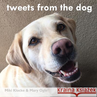 tweets from the dog Ogle, Mary 9781541192348 Createspace Independent Publishing Platform