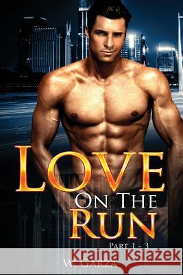 Love On The Run: Part 1 - 3 Garza, W. 9781541204119 Createspace Independent Publishing Platform