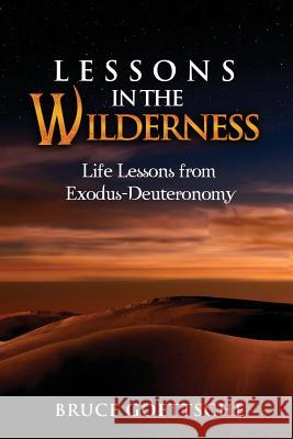 Lessons in the Wilderness: Life Lessons from Exodus-Deuteronomy Bruce Goettsche 9781541329959