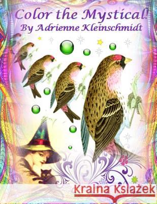 Color The Mystical! Kleinschmidt, Adrienne 9781541356559