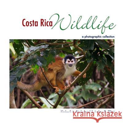 Costa Rica Wildlife: A Photographic Collection Amber G. Elliott Kimberli a. Bindschatel 9781541361850