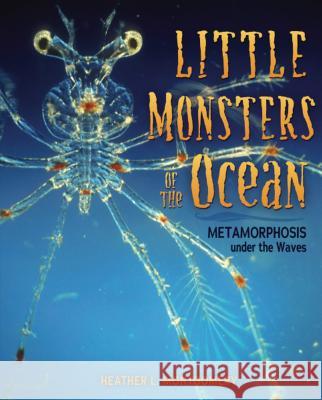 Little Monsters of the Ocean: Metamorphosis Under the Waves Heather L. Montgomery 9781541528987 Millbrook Press