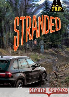 Stranded Jannette Laroche 9781541573024 Darby Creek (Tm)